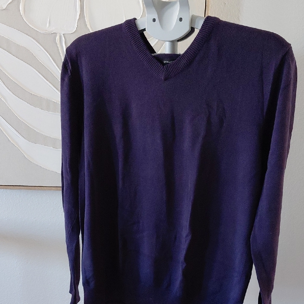 Structure Men's V-Neck Sweater in Deep Purple